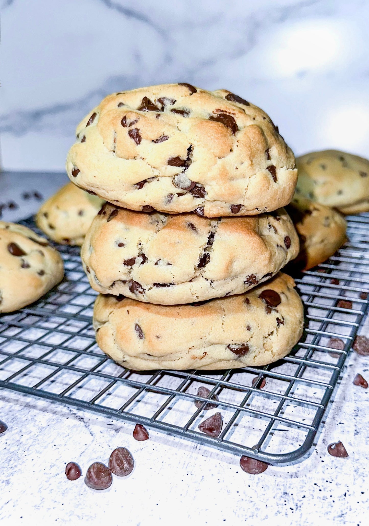 Chocolate Chip Cookie