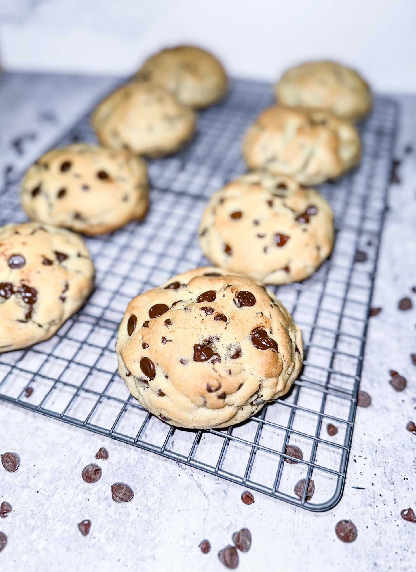 Chocolate Chip Cookie